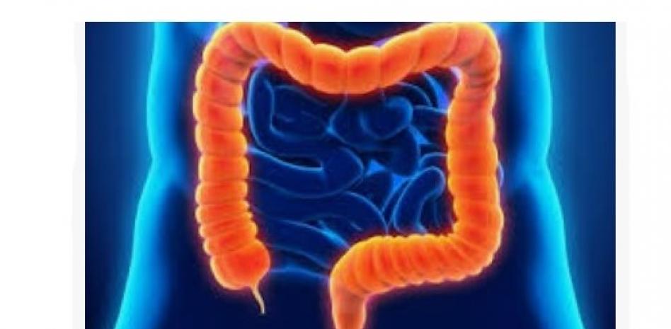 Diagnóstico de enfermedades intestinales puede iniciar en el sanitario