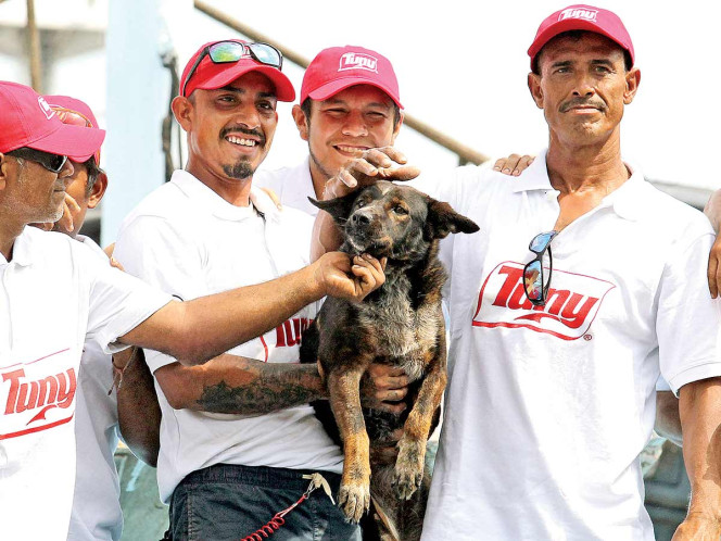 “Bella”, perra que acompañaba a náufrago rescatado, es mexicana