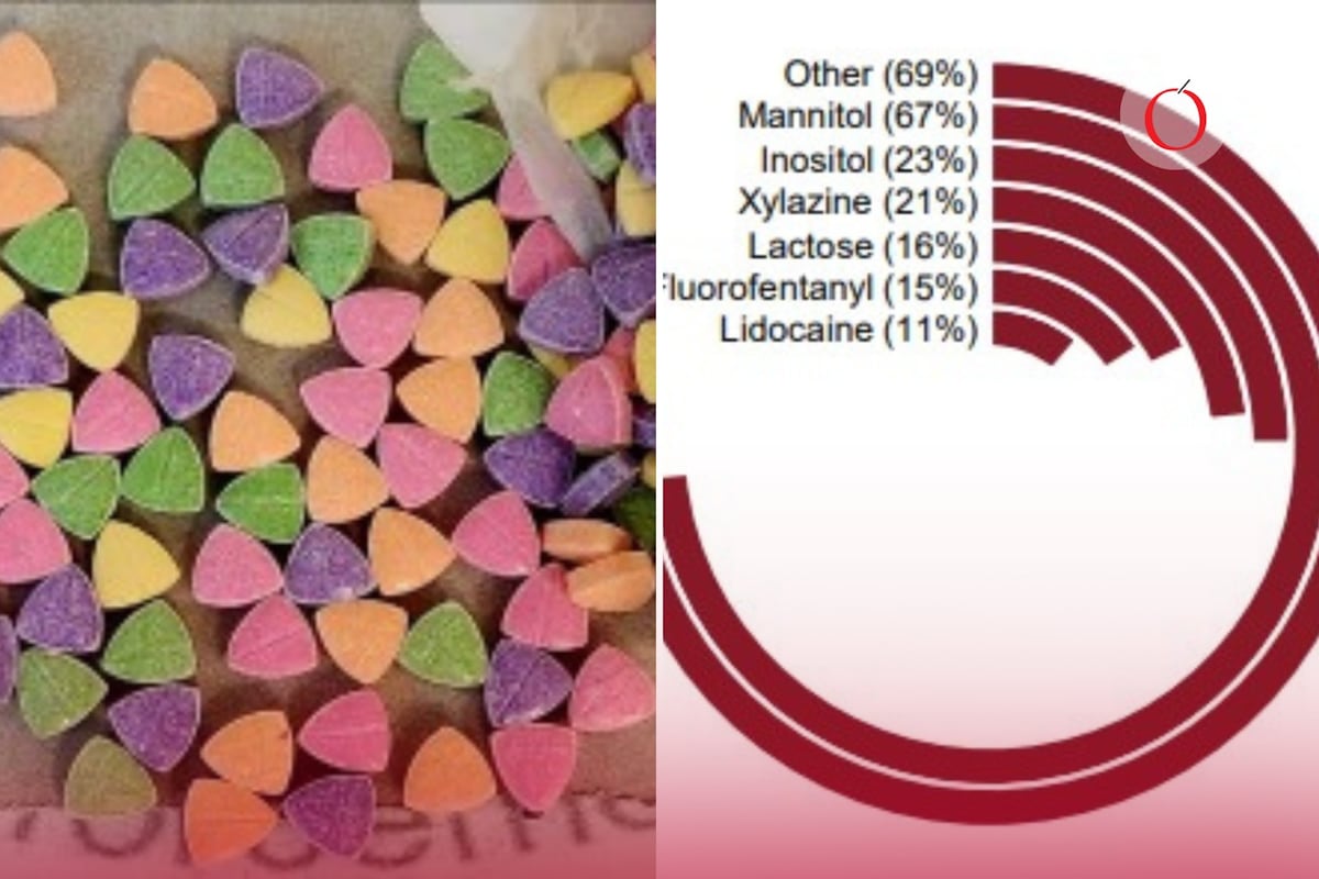 “La nueva droga peligrosa en la mira: cómo el fentanilo enmascara su verdadera identidad para llegar a manos inocentes”