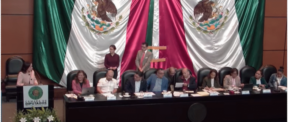 "Diputados bajo presión: la lucha por un límite temporal en los juicios de Amparo"