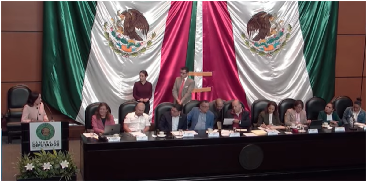 “Diputados bajo presión: la lucha por un límite temporal en los juicios de Amparo”