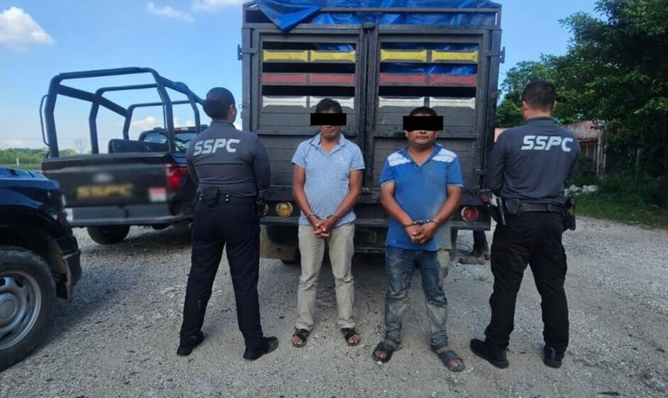 Operación "Tormenta Tropical": Autoridades descubren gran cantidad de marihuana enTabasco