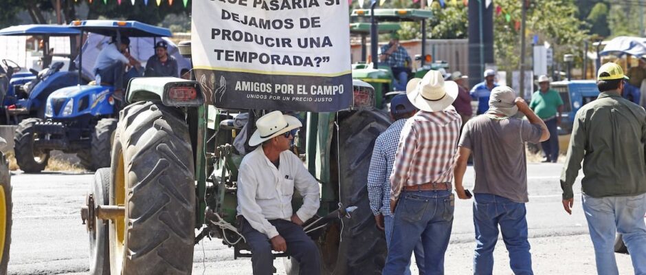 Maíz en Crisis: Productores Renuncian a Acuerdo con la Federación y Anuncian Duros Bloqueos y Protestas por la Vía Política