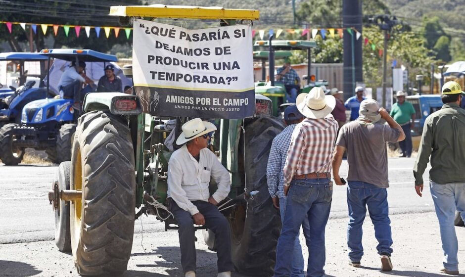 Maíz en Crisis: Productores Renuncian a Acuerdo con la Federación y Anuncian Duros Bloqueos y Protestas por la Vía Política