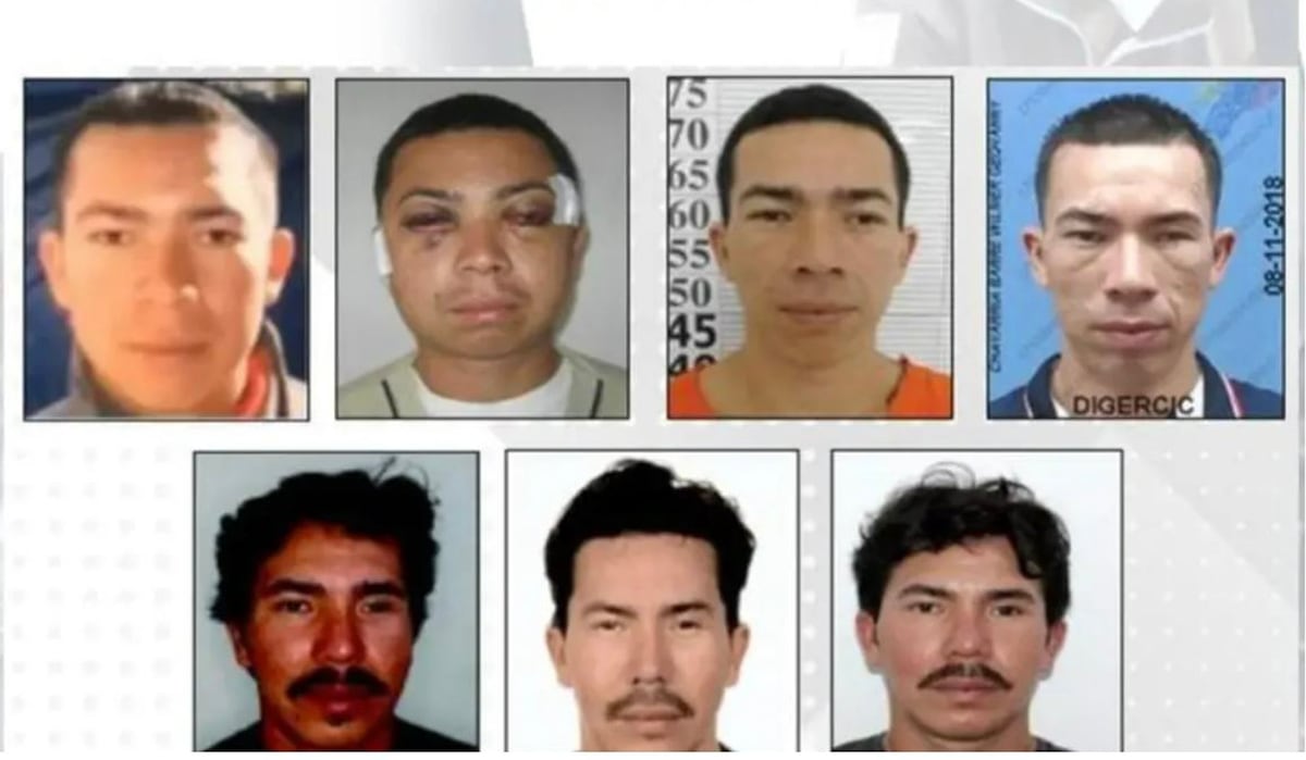 “Operación Justicia: La captura del legendario Pipo, jefe del crimen organizado ecuatoriano, en territorio español”