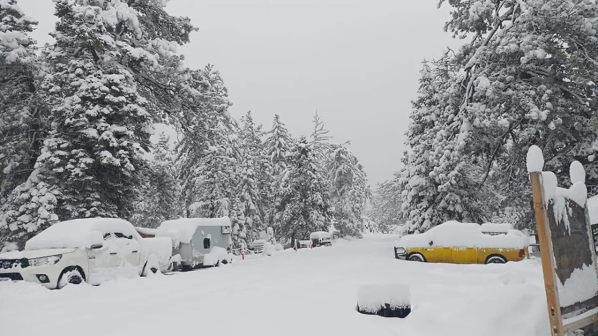 Invierno en estado de alerta: Tormenta y frente frío conjuran tempestuosas condiciones climáticas con lluvias torrenciales y vientos furiosos.