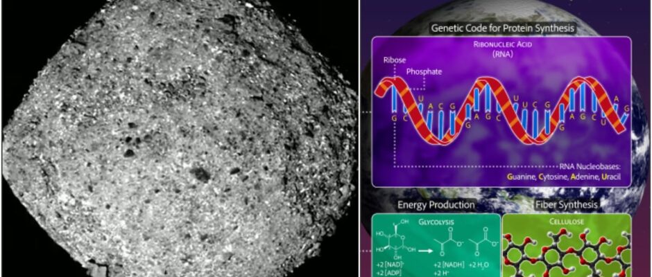 Descubrimiento revelador en el sistema solar: la NASA asesta un golpe a la curiosidad con sorprendente hallazgo en asteroide que abre nuevas perspectivas sobre la posibilidad de vida en el universo.