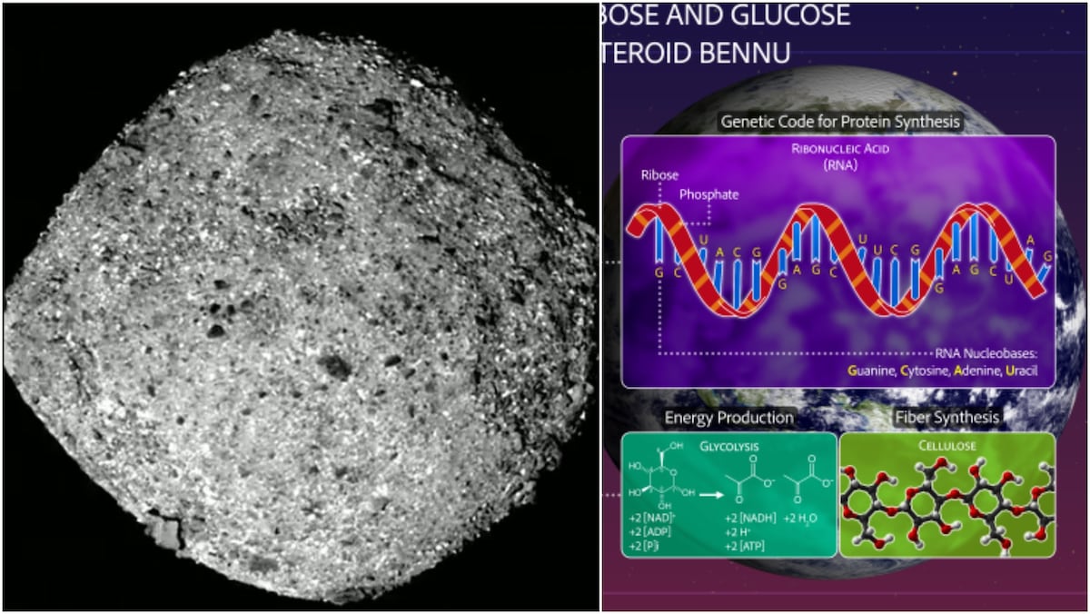 Descubrimiento revelador en el sistema solar: la NASA asesta un golpe a la curiosidad con sorprendente hallazgo en asteroide que abre nuevas perspectivas sobre la posibilidad de vida en el universo.