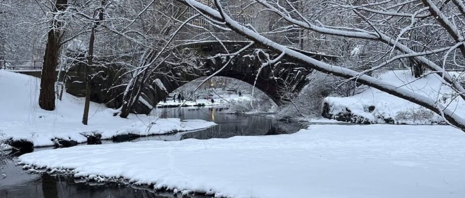 Tormenta de invierno azota la costa este estadounidense, Nueva York y zonas vecinas afrontan el invierno con fuerza.