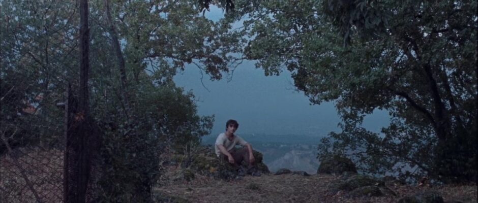 Descubre las mejores películas que puedes disfrutar en casa con los servicios de streaming más populares