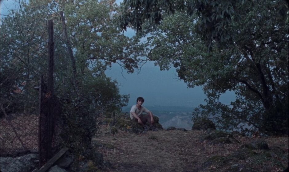 Descubre las mejores películas que puedes disfrutar en casa con los servicios de streaming más populares