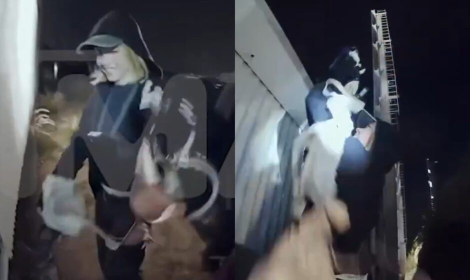 ¿Marketing o vandalismo?: Sydney Sweeney cuelga ropa interior en letrero de Hollywood para promover su nueva marca de lencería