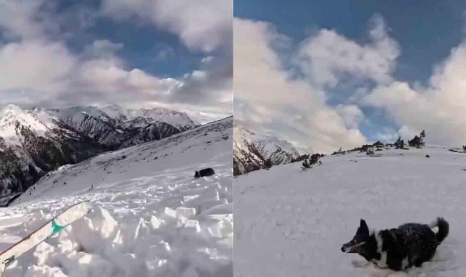 Esquiadora provoca aterradora avalancha y queda atrapada con su perrito
