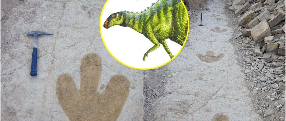 ¿Cómo se llama el municipio de Oaxaca donde existieron dinosaurios?