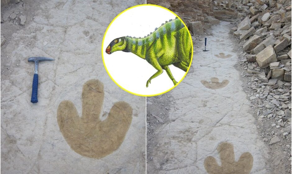 ¿Cómo se llama el municipio de Oaxaca donde existieron dinosaurios?